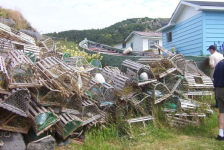 615: Lobster pots at Red Island harbour. (2003) [courtesy of Stephen Mulrooney]